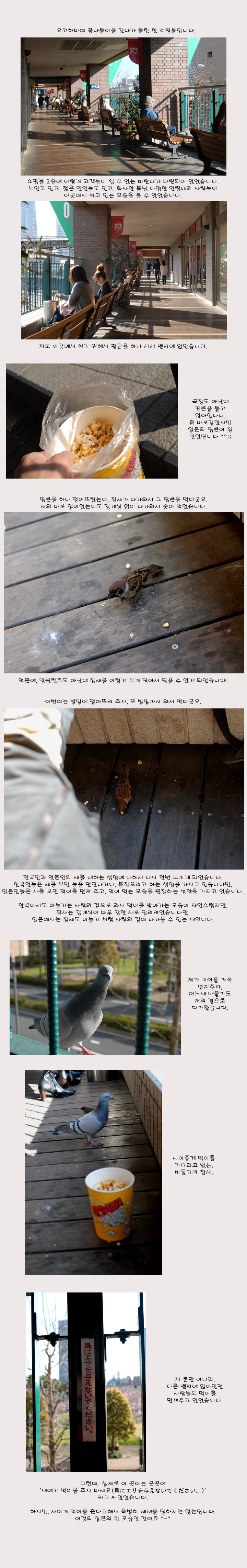 [�Ϻ���] ���� ���� �Ϻ��� ����